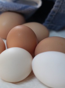 un-oeuf-par-jour-n-est-mauvais-pour-la-sante-16022015161